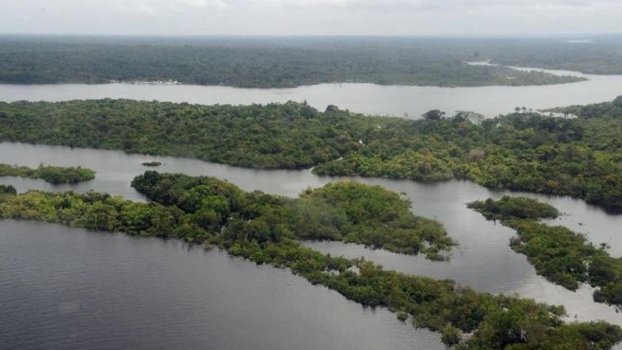 general floresta amazônica