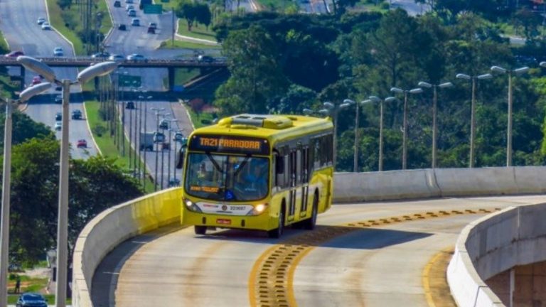 linhas de ônibus