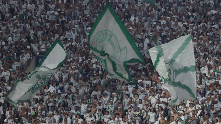Organizada do Palmeiras vê elenco enfraquecido, se diz preocupada com futuro do clube e cobra Leila
