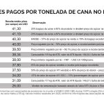 ORPLANA pede urgência na melhora da precificação da cana