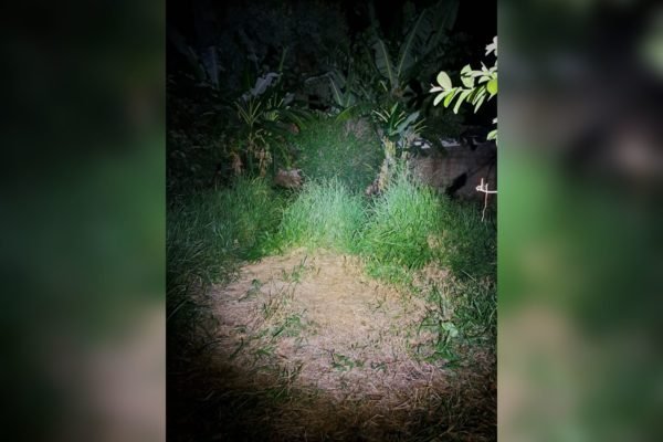 Caso Lucas: vídeo mostra aluno da UnB e amigos entrando em condomínio