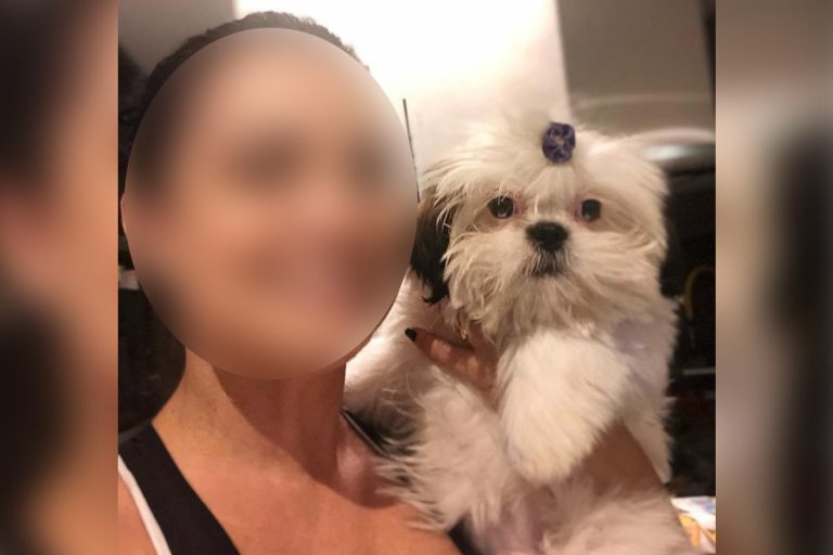 Justiça mantém medida protetiva contra servidor acusado de roubar pets