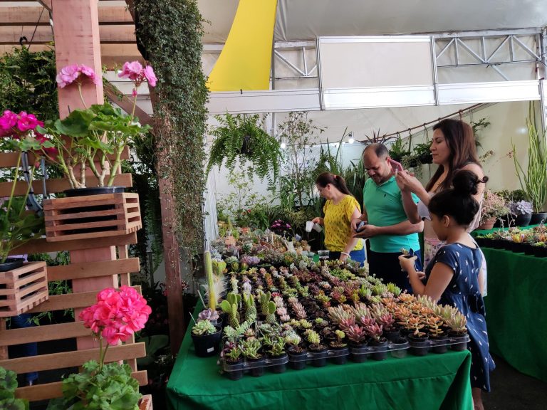 9ª Feira da Goiaba terá 30 estandes para venda de flores e plantas ornamentais