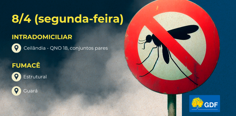 Veja a rota do fumacê nesta segunda (8)