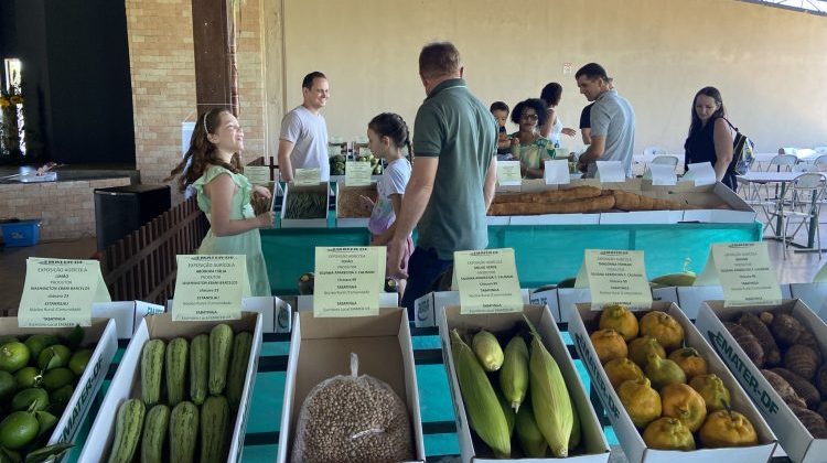 Núcleo rural de Tabatinga se prepara para a 32ª Semana do Produtor