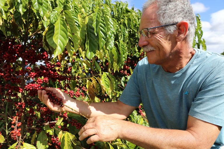Café especial conquista espaço no mercado brasiliense e estimula novas produções rurais