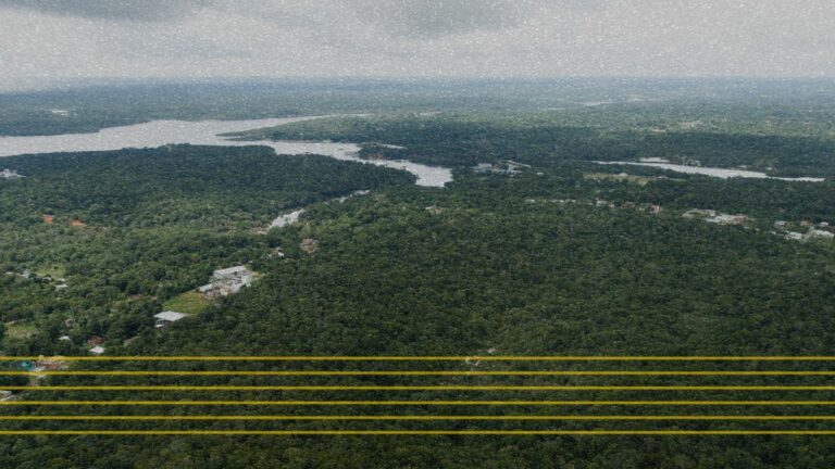 Taxa de desmatamento da Amazônia bate o menor nível desde 2015; no Cerrado também cai