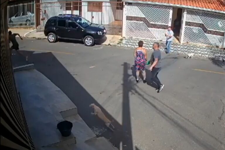 Vídeo: vizinha escapou “por milagre” de não ser baleada por empresário