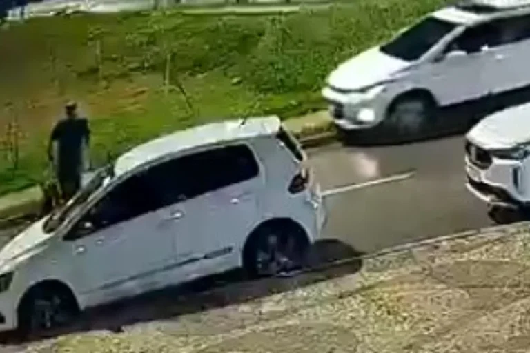 Motorista que atropelou pedestre cego com cão-guia é indiciado