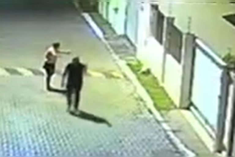 Cadela foge, ataca criança de 10 anos e é morta a tiros por CAC no DF