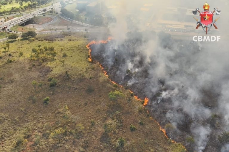 Incêndio destruiu 22 hectares e quase atingiu barracos em Brasília