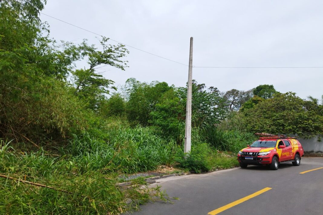 cbmgo-localiza-ossada-humana-durante-buscas-a-idosa-desaparecida-ha-15-dias