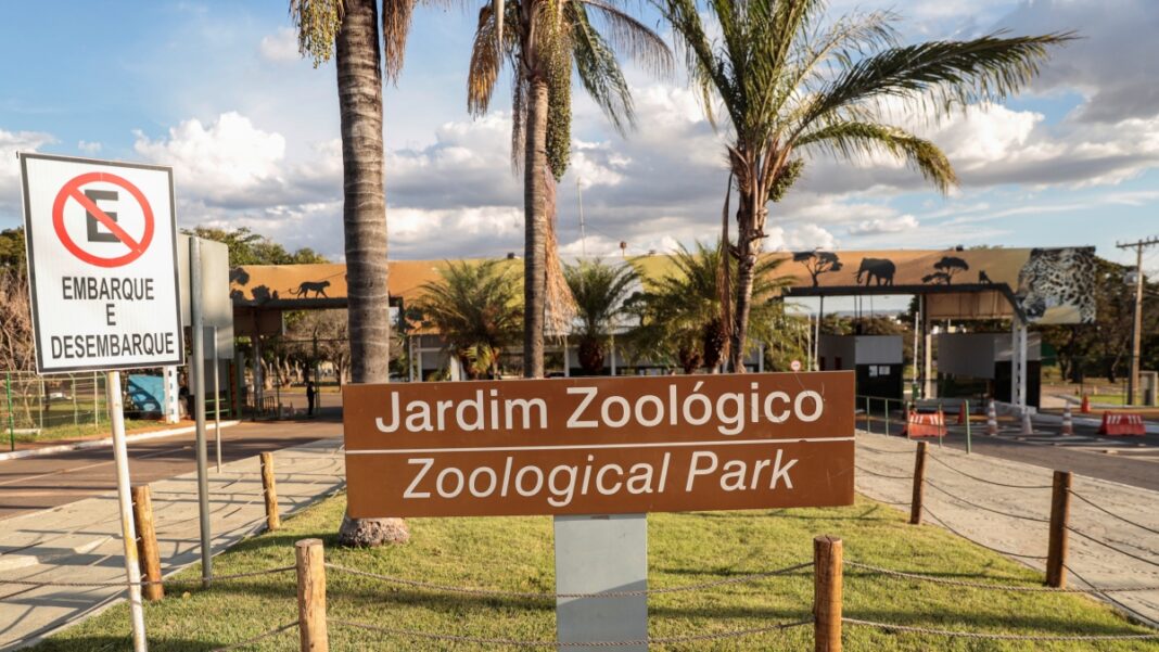 zoologico-de-brasilia-estara-fechado-ao-publico-no-2o-turno-das-eleicoes