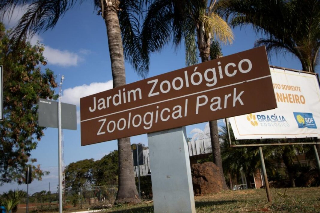 crianca-picada-por-escorpiao-no-zoologico-de-brasilia-tem-alta-hospitalar